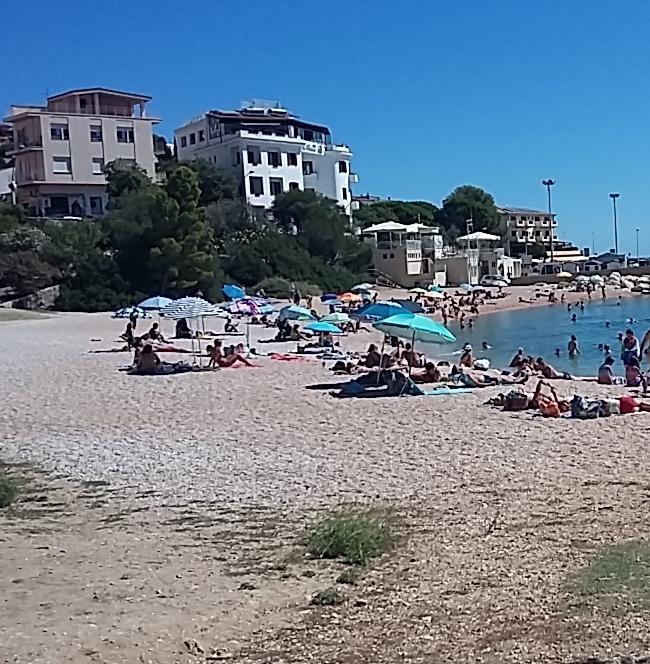 Suolo pubblico e tariffe: il Tar dà ragione al Comune