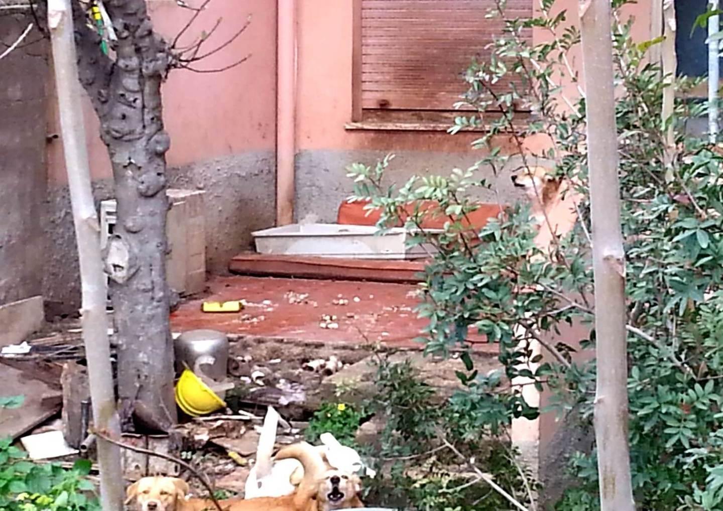 Cani troppo rumorosi in via Conti 