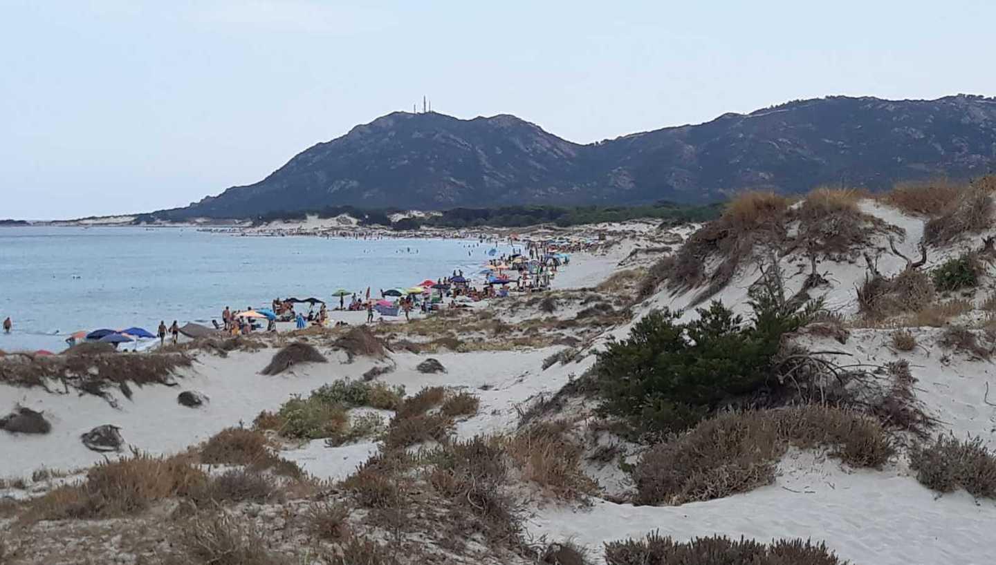 Il paradiso di Capo Comino: nessuno mette i pali, le dune non sono protette 