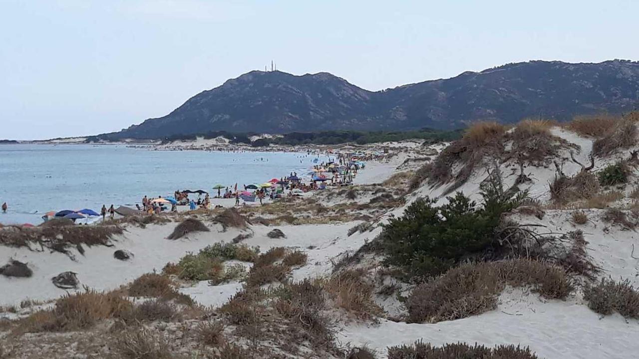 Il paradiso di Capo Comino: nessuno mette i pali, le dune non sono protette 