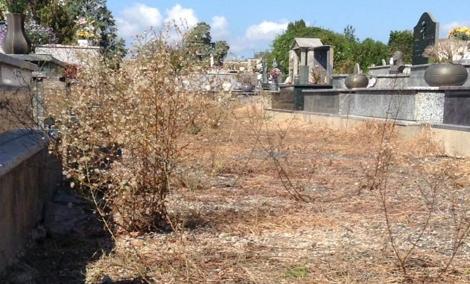 Erbacce al cimitero: il sindaco sotto accusa 