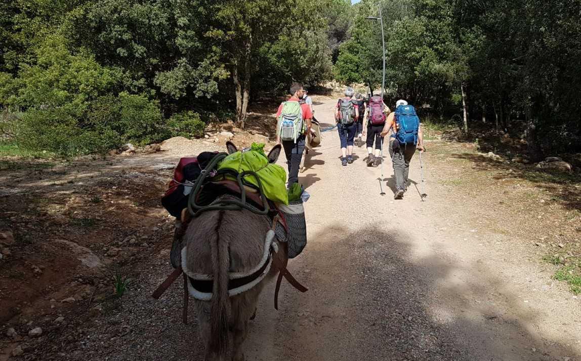 Transumanza con gli asini scommessa per il turismo 