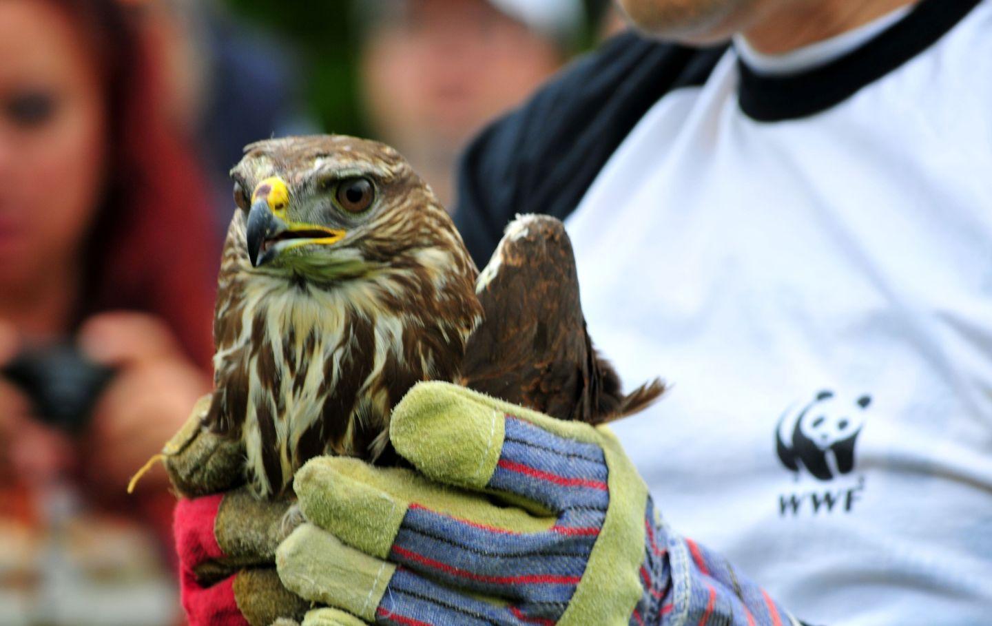 Biodiversità, tre eventi anche in Sardegna 