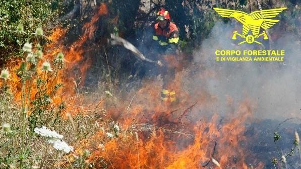 Fiamme a Bottidda e Romana elicotteri al lavoro per ore