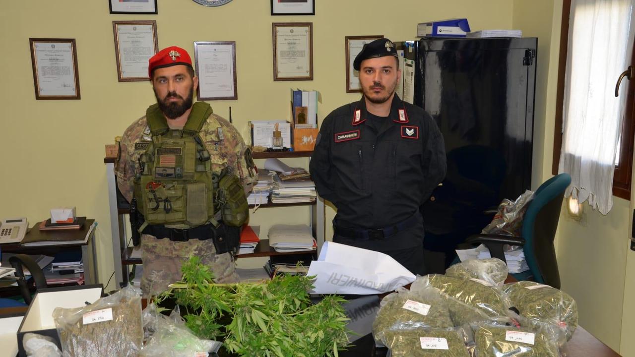 In casa tre chili di marijuana pronta per la vendita, un arresto a Guasila