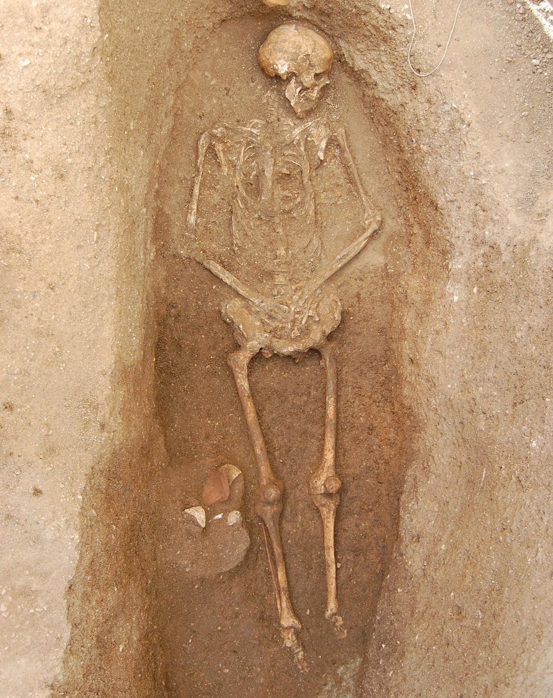 Il Comune vuole un museo per i tesori dell’antica Othoca