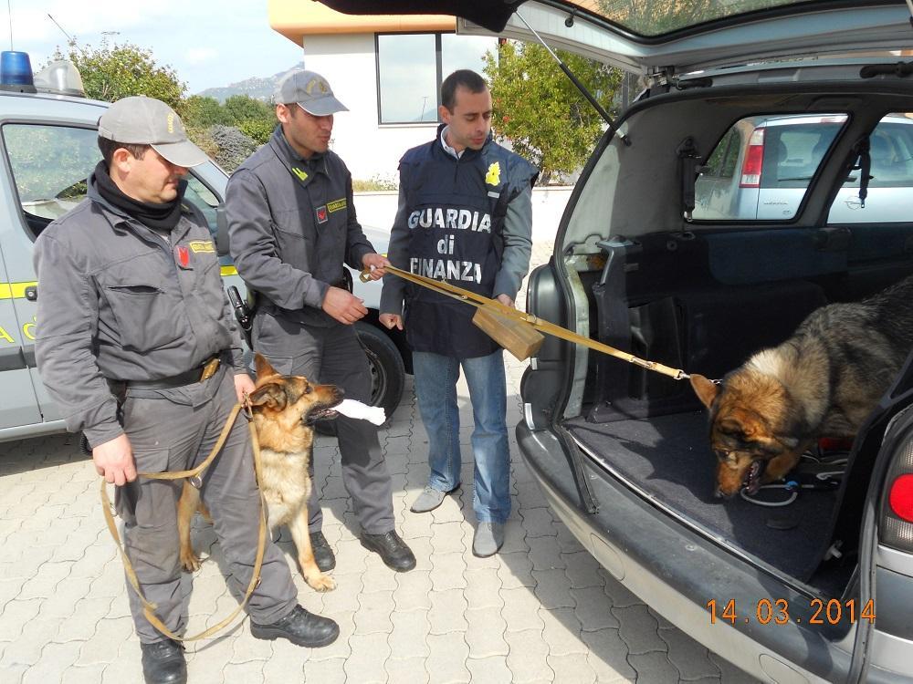 Cani antidroga della finanza