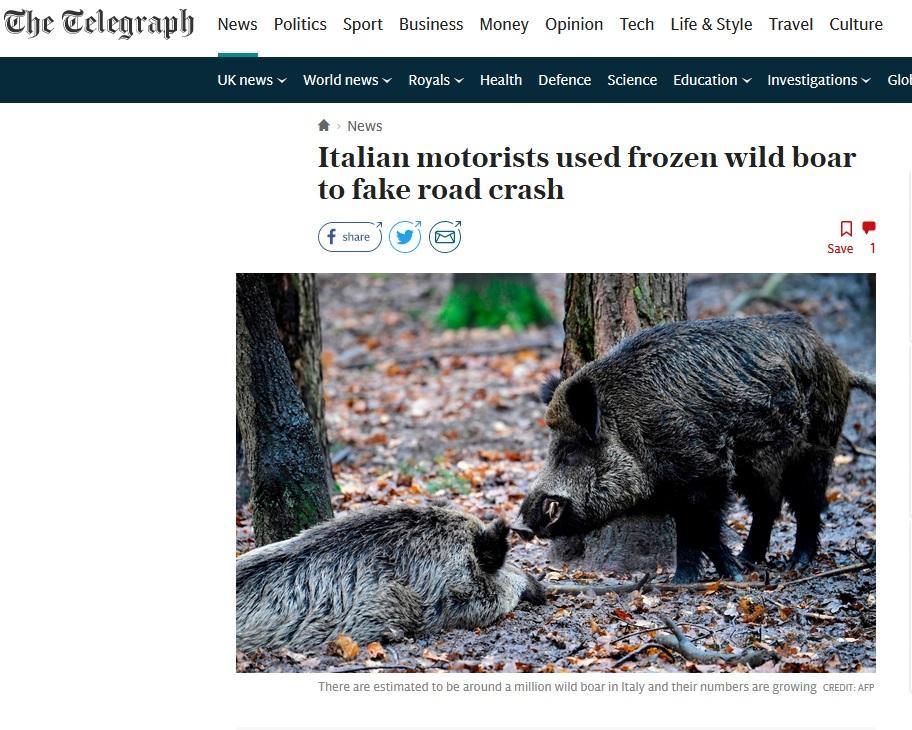 La notizia sul sito on-line del Telegraph