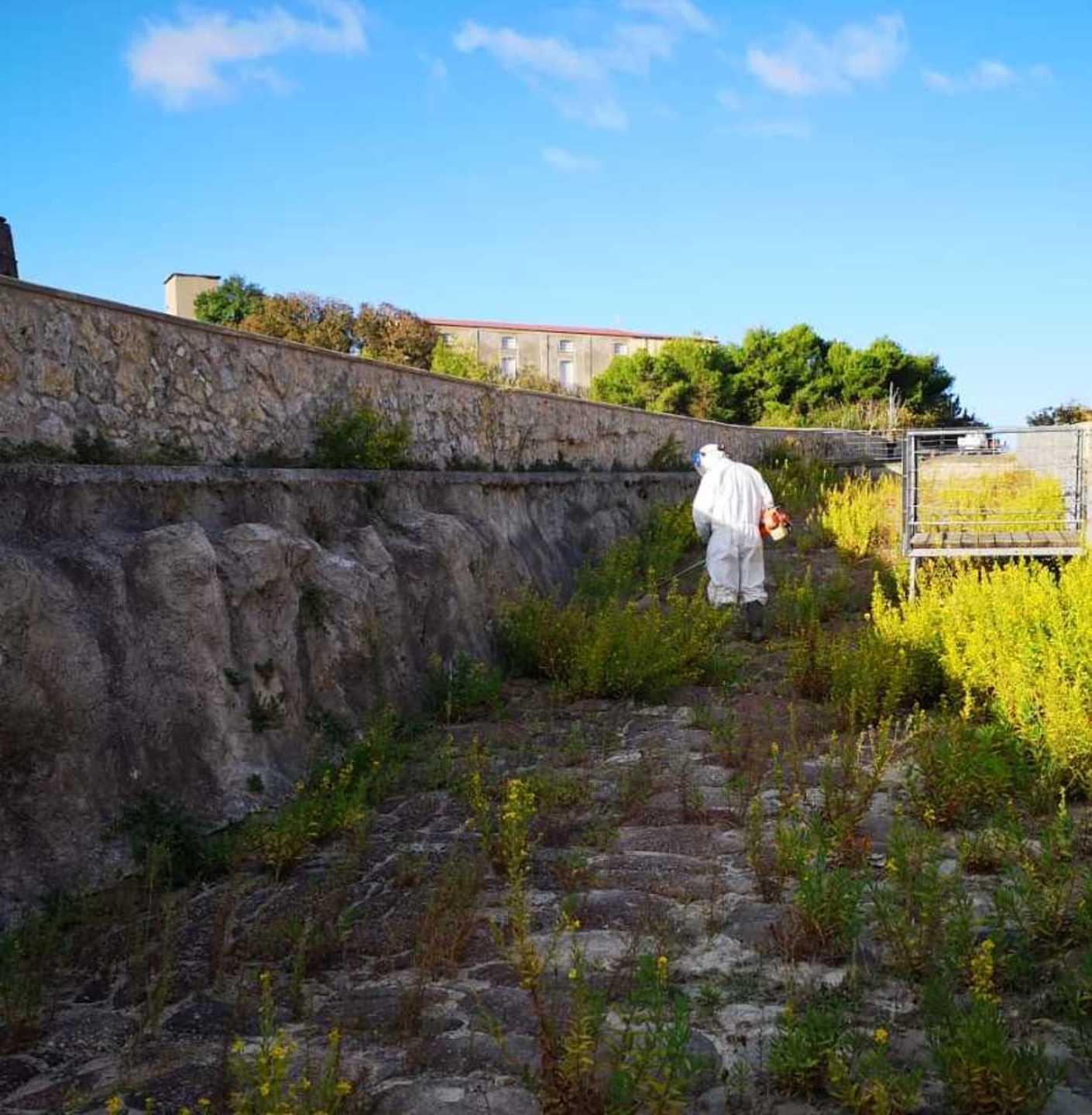 Ponte romano, via l’erba ma il restauro è sempre fermo