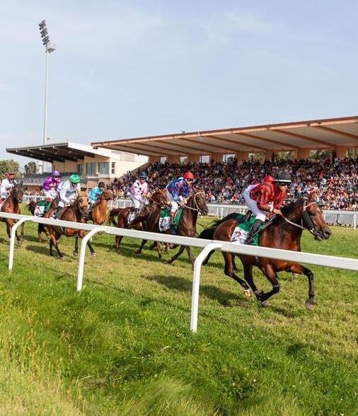 Un’estate tutta al galoppo per l’ippodromo Meloni 