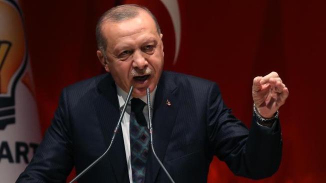 Siria: Erdogan, andremo fino in fondo
