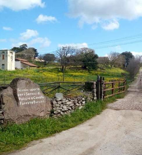 Venerdì il libro di Antonio Cicilloni su Foresta Burgos
