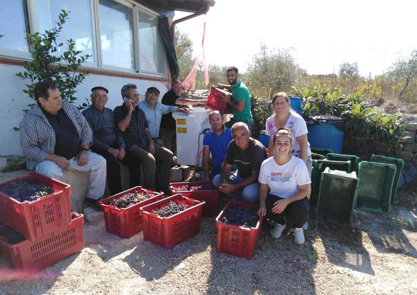 Qualità e quantità: vendemmia record 