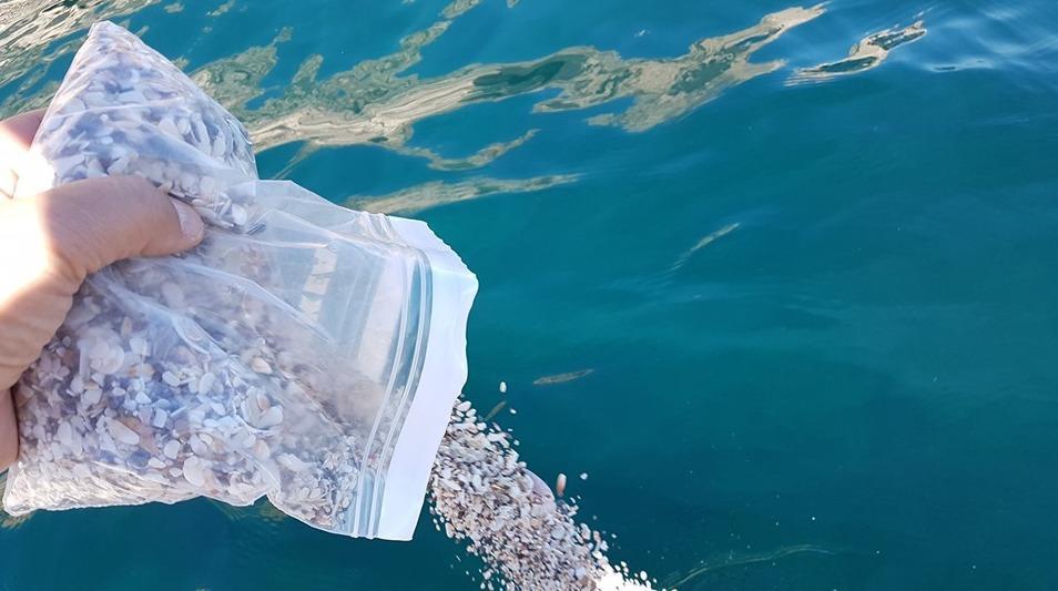 La sabbia del Sinis torna a casa, dopo 40 anni 