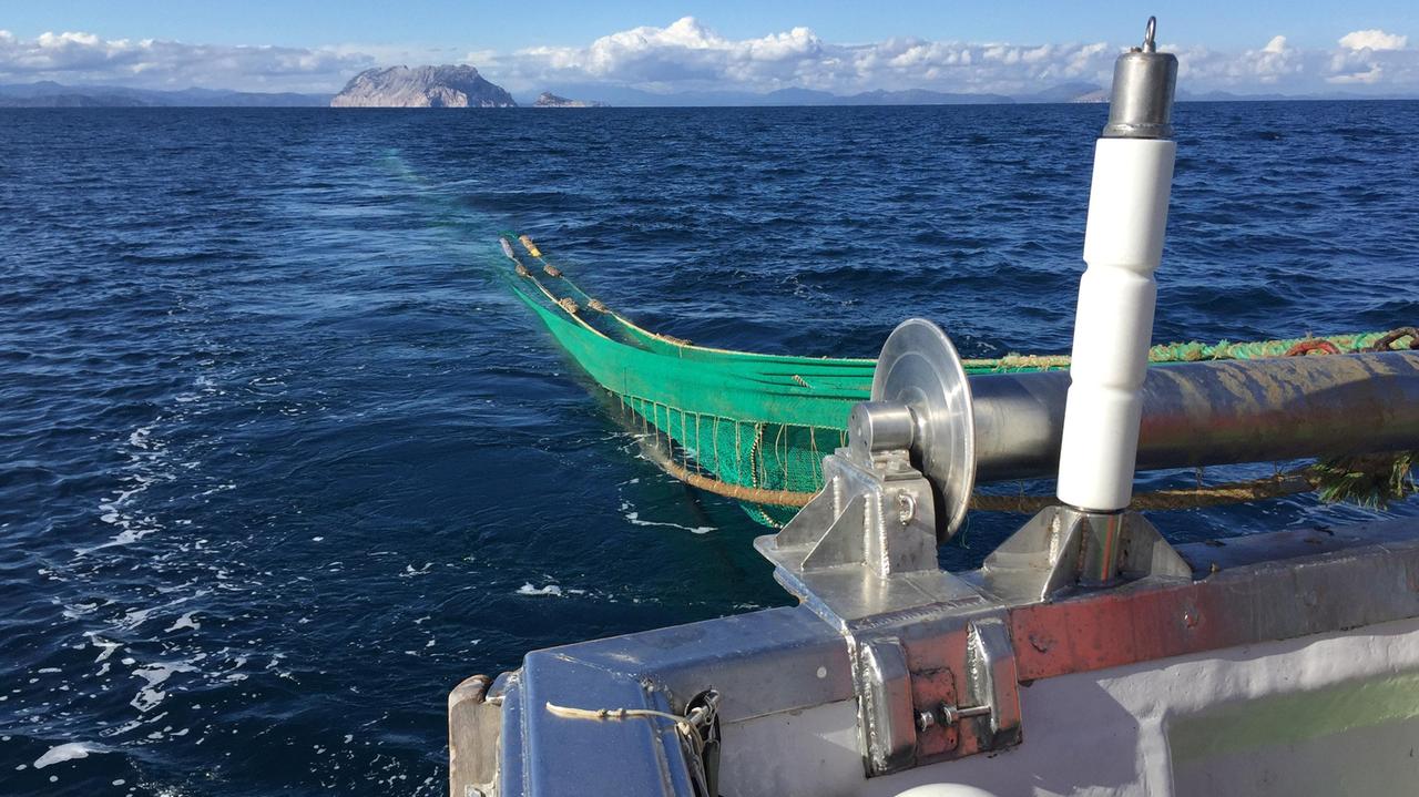 I pescatori siciliani fanno razzia davanti alle coste galluresi, è guerra tra marinerie