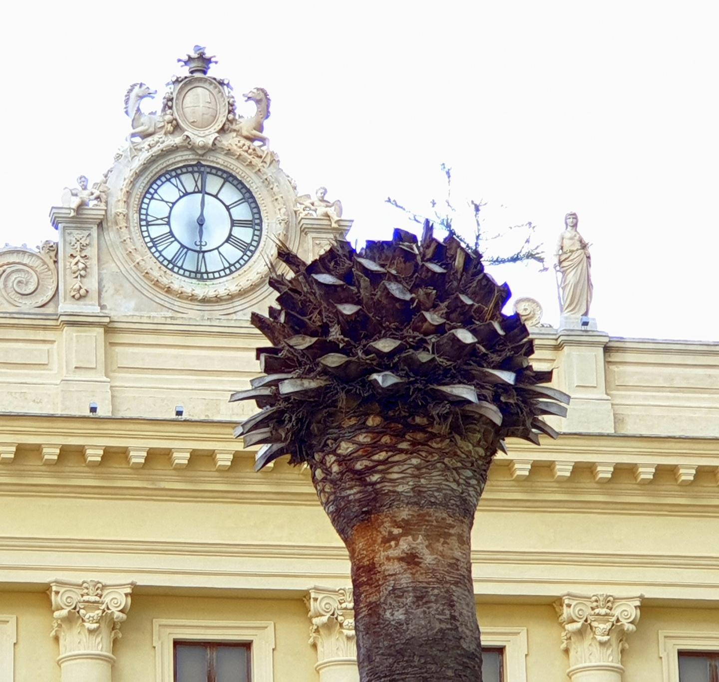 Investe una donna e fugge, denunciato 