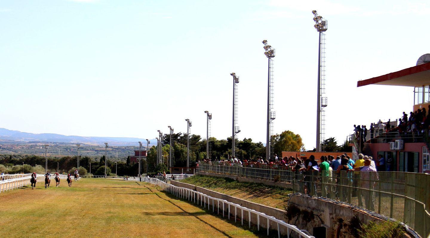 Galoppo, al Pinna è il giorno del “Criterium”