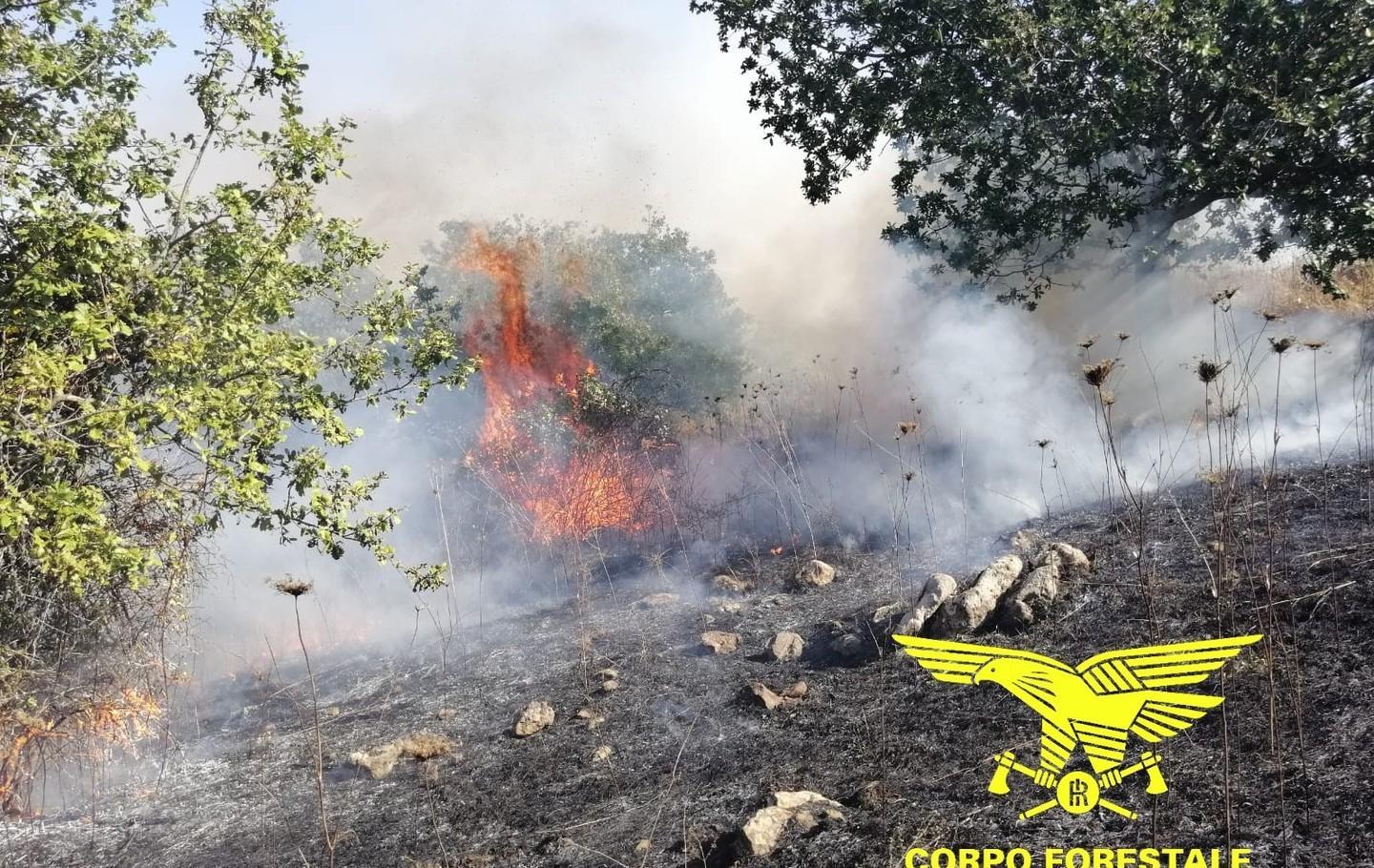 Pozzomaggiore, incendio distrugge 15 ettari di pascolo 