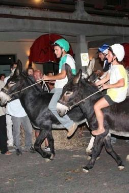 Roccastrada al Palio Nazionale degli Asini