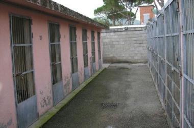 Il canile di Pontetetto (Vip) 