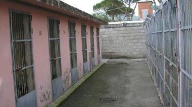 Il canile di Pontetetto (Vip)
