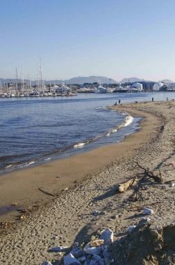 <strong>TRIANGOLINO NEGATO.</strong> L’area in concessione alla Viareggio porto può esser utilizzata solo per costruire il nuovo approdo turistico