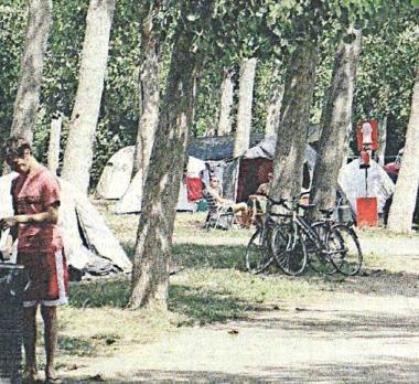 Il Camping internazionale Versilia venne inaugurato nel 1962 dallimprenditore Michele Basile. &nbsp;A sinistra una immagine delle tende immerse nella pioppeta che copre oltre 40mila metri quadrati al confine tra Seravezza, Pietrasanta e Forte dei Marmi. Una immagine odierna del viale di ingresso con la sbarra chiusa, ormai, per sempre su via Padre Ignazio da Carrara      