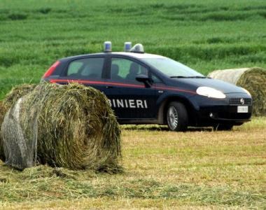 <strong>LA TRAGEDIA.</strong> Il campo all’interno del quale stava lavorando l’operaio
