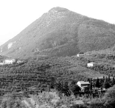 Il colle di Monsummano Alto presenta molte peculiarit&agrave; geologiche e naturalistiche   