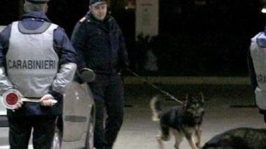 Unità cinofile dei carabinieri