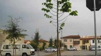 Dodici parcheggi, quattro nuove scuole e anche due palestre