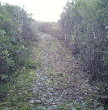 Uno dei numerosi sentieri che attraversano l’isola