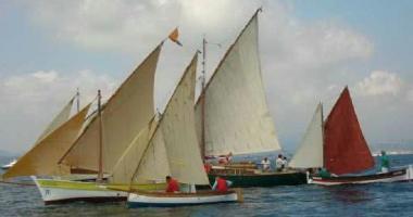 Una regata della Vela latina 