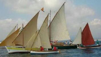 Una regata della Vela latina