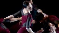 Il viaggio di Shen Wei attraverso i 2 emisferi