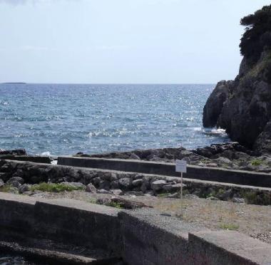 <b>ANSEDONIA.</b> Il divieto di balneazione 