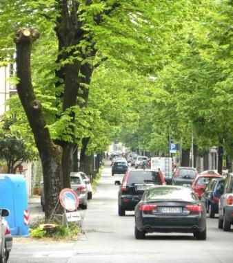 Il viale Roma Previsti interventi anche nelle vie limitrofe  