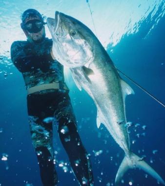 «Alla Meloria la pesca sub ha svuotato i fondali»