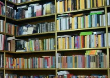 Uno scaffale pieno di libri 