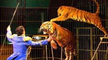Un momento dello spettacolo del circo Coliseum