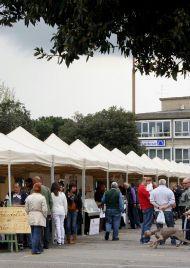 I banchi del mercato Terra di Prato 