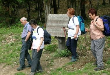 Sopra lassessore provinciale Beltrame 