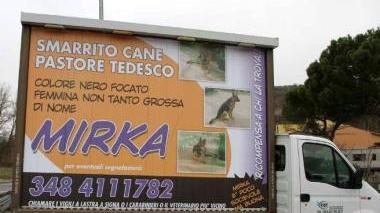 Un camion vela, e cartelli indicatori su via Montalbano