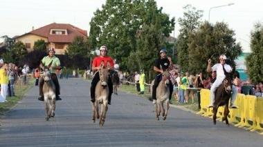 A Grosseto 2 giorni dedicati alla conoscenza dell'asino
