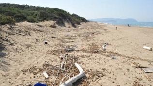 La spiaggia di Rimigliano