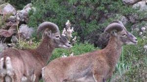 Parco, rivedere i confini? Si può ma senza speculazioni