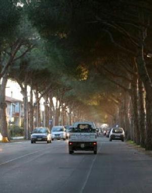 Viale della Repubblica