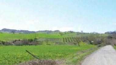 La zona interessata dal progetto di impianto a terra di pannelli fotovoltaici