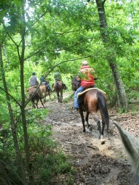 La passeggiata dellassociazione equestre 