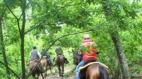 La passeggiata dell’associazione equestre